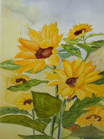 Sonnenblumen - Karin Arnold