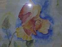Rose - Sabine Balzert