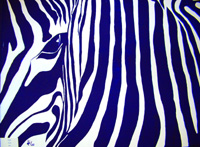 Zebra - Theodor Fischer